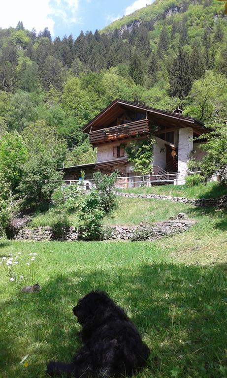 B&B Villa Ca'Praja Даоне Екстериор снимка